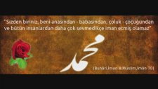 Erkan Çetinkaya - Gelseydin