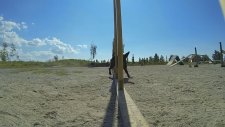 GoPro: The Doggy Dash