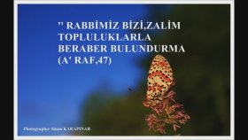 Celaleddin Ada - Sultanım Kapında Banada Yer Ver Celaleddin Ada - Sultanım Kapında Banada Yer Ver