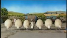 Shaun The Sheep & Flock Dance