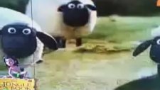 Shaun The Sheep -Stick With Me