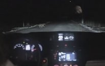 Kadın Köpeğe Çarpıyor, Bakın Sonra Neler Oluyor!