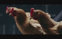 Mercedes-benz Tv: Magıc Body Control Tv Commercial