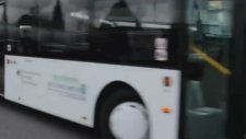 Buses