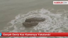 Gerçek Deniz Kızı!