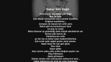 Cahit Sıtkı Tarancı - Artık Hiçbir Şey Eskisi Gibi Değil