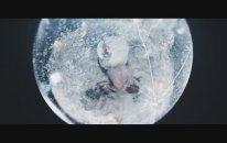 Shatter Me Ft. Lzzy Hale - Lindsey Stirling