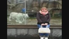 Test Video