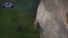 Polyushka Polye - Kazak Atlıları