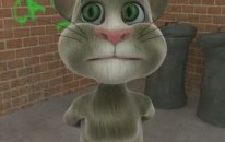 Konuşan Kedi Tom Urfalıyam Ezelden