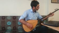 Bülbül Havalanmış Yuksekten Uçar