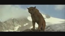 Bir Doğa Melodisi - Melody Of Nature/ Enstrumantel