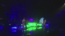 Katy Perry - Peacock (Live On Letterman)