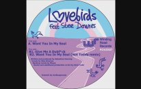 Lovebirds - Want You In My Soul Ft. Stee Downes (Original Mix)