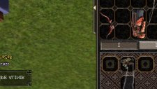 Metin2 Küfür Olayı Ve Hakaret Ss Alımı