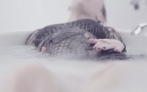 Miley Cyrus - Adore You