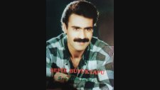 Şefik Büyüktapu - Gazel