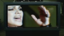 P!nk - Family Portrait