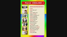 Parrot Englısh - İngilizcenin Kolay Yolu