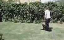Rottweiler Eğitimi 3 - Uzman Köpek Eğitmeni - Levent Mutlu Vonlegal