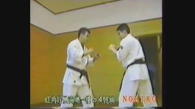 Karate Dersleri 1 - Genel Teknikler
