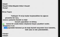 Html Dersleri 18 - Yazı Düzeni