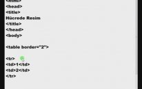 Html Dersleri 41 - Hücrede Resim