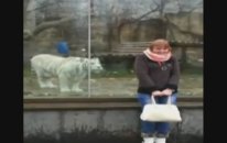 test Video