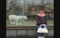 test Video