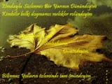 Elvedayla Süslenmiş Yarının Dünündeyim