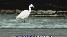 Ela Gözlüm - Karaoke (Enstrümantal)