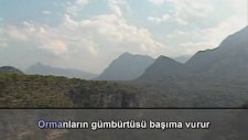 Karadır Kaşların