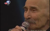 Tuncel Kurtiz - Sevgi Duvarı