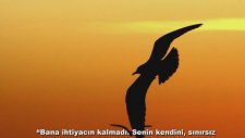 Martı - Itzhak Perlman - When The Rebbe Elimelech Becomes So Very Merry