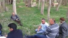 Karaçayır Köyü Kelkit