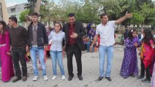 Haydi Birazda Halay Çekelim