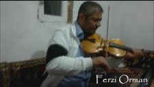 Ferzi Orman- Kemanci Mizrap - Geceler