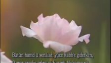 Mehmet Emin Ay - O Gece Sendin Gelen