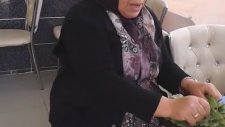 Doğum Günün Kutlu Olsun Büşra