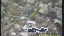 Sedat Uçan Kapına Geldim