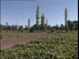 Karapinar