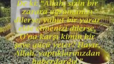Fetih Suresi Kabe İmamı Mahir