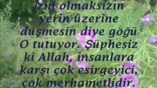 Hacc Suresi -1/2