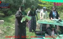 Karaveli Köyü Madımak Şenliği