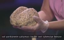 Neuroanatomist - Jill BolteTaylor