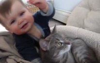 Kedi ve Bebek - Bu Nasıl Aşk?