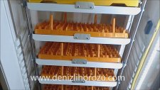 Tam Otomatik Gelişim Kuluçka Makinası