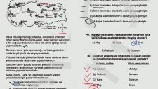 Bugra AYAN - ALES 2013 Sözel Mantık Sorusu