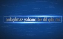 senolhoca.com