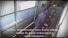 Gizli Kameradan Süt Endüstrisine Bir Bakış